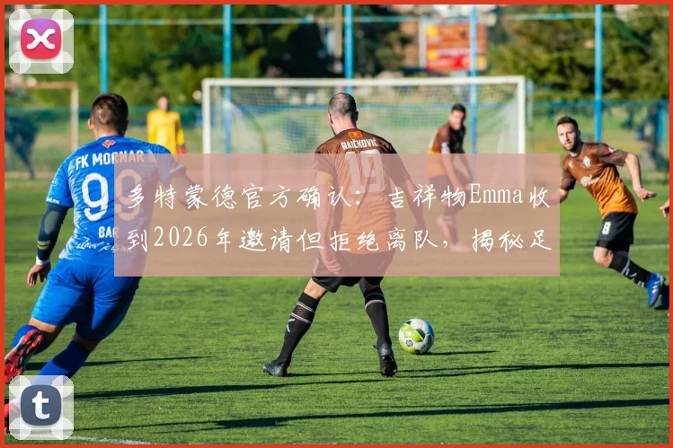 多特蒙德官方确认：吉祥物Emma收到2026年邀请但拒绝离队，揭秘足球俱乐部吉祥物运营内幕与球迷文化